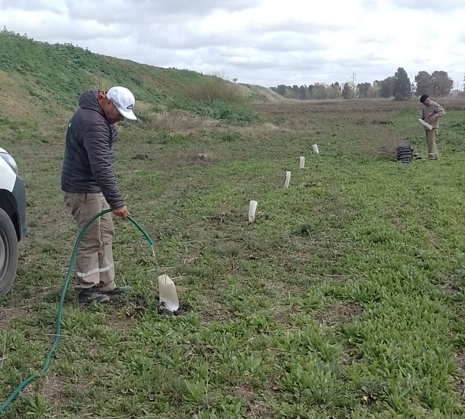 Funes: 150 árboles plantados en el corredor cercano a la represa